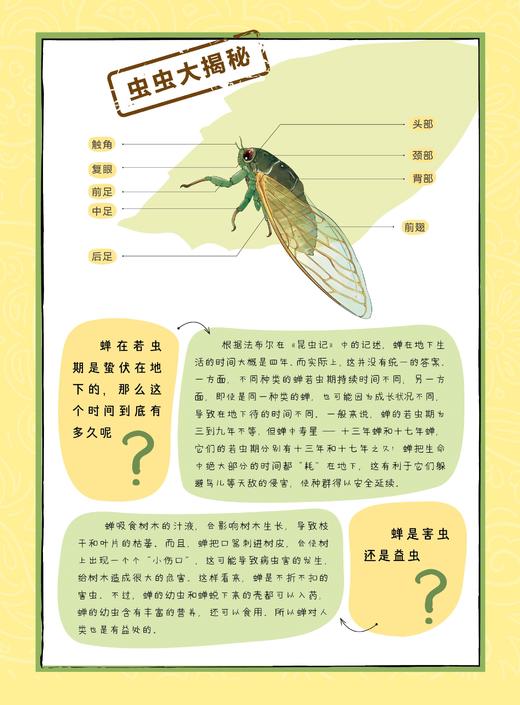 《给孩子的法布尔昆虫记》（彩绘注音版）全10册 商品图5