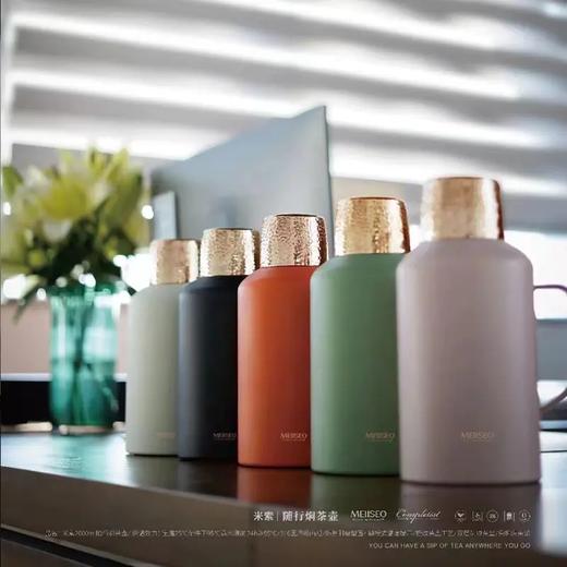 【直送到家】2000ml米索H系列便携式焖茶壶 随行随饮 商品图0