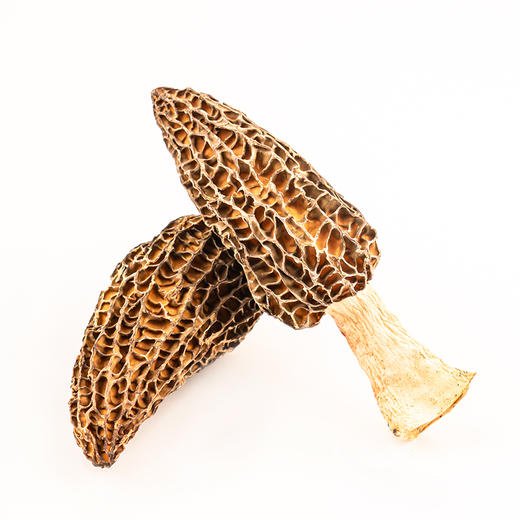 井之绿羊肚菌80g礼盒 商品图6