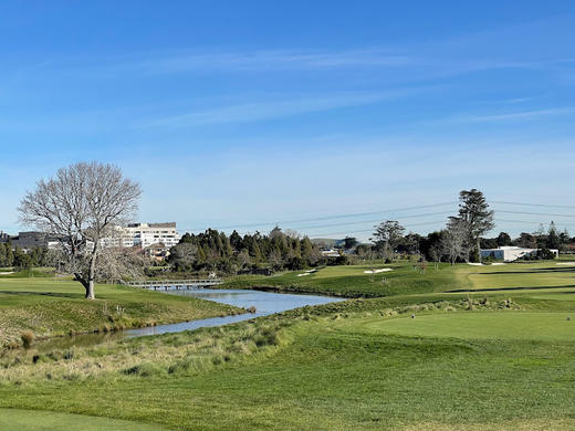 皇家奥克兰格兰奇高尔夫俱乐部 Royal Auckland and Grange Golf Club | 奥克兰高尔夫球场 | 新西兰高尔夫球场俱乐部  | 北岛 商品图0