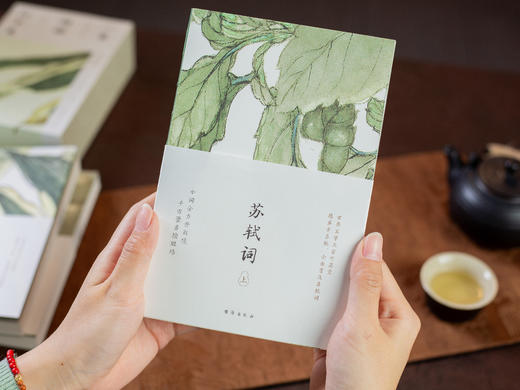 《一蓑烟雨任平生: 苏轼词》珍藏版全3册丨全注全解全译，一次读懂苏东坡 #精选 商品图9