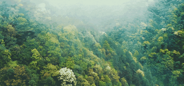急需！可副业可兼职：短视频电商运营公开招募，时间自由！不限经验！在家可做！