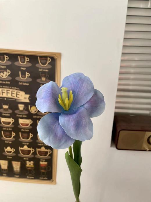 【琳琅】法式翻花郁金香/1枝装 商品图6