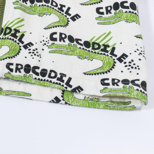 贝贝怡童装儿童连帽外套春季新款百搭休闲上衣男女中大童春秋衣服ZB1DS012 商品图5