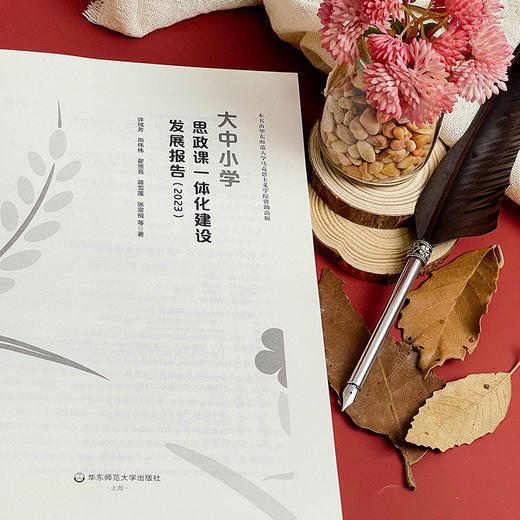 大中小学思政课一体化建设发展报告 2023 商品图4