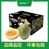 PAGODA百果园 沙漠蜜瓜2粒礼盒装（净重3.5-3.75kg，单果重≥1.75kg） 商品缩略图4