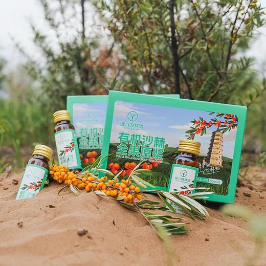 【泰安读者包邮】SGS权威检测机构4次复检308项农残0检出 内蒙原始主义 有机沙棘全果原浆 保留沙棘本真 每日一支补充所需维生素C 商品图0