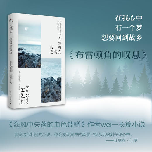 布雷顿角的叹息 （加拿大）阿利斯泰尔·麦克劳德 著 商品图4