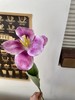 【琳琅】法式翻花郁金香/1枝装 商品缩略图7