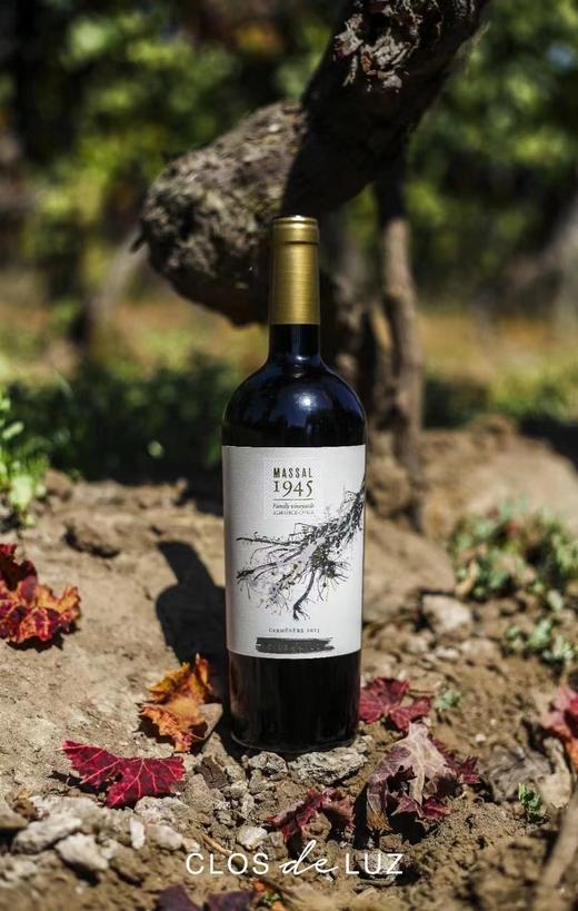 第229期丨智利露滋酒庄墨骚佳美娜2022新年份 商品图4