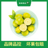 PAGODA百果园  塔希提无籽香水柠檬2斤装 商品缩略图3
