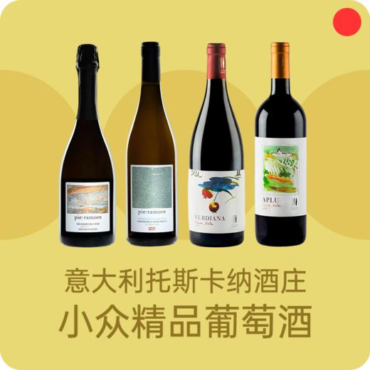 小众精品红葡萄酒/意大利托斯卡纳酒庄/原瓶进口干红/花果香红酒/口感醇厚/佐餐酒750ml【品牌方厦门发货】 商品图0