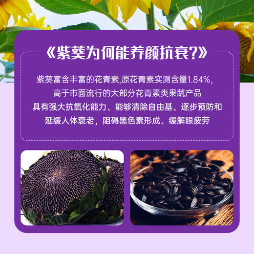 【2盒立减30】紫葵原花青素代用茶 内蒙赤峰紫葵 不含茶碱&咖啡因 低果糖 21袋/盒 商品图3