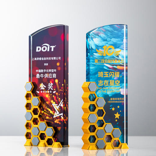 水晶奖杯定制金属奖牌龙年高档评选比赛奖品冠军企业年终颁奖活动 商品图6