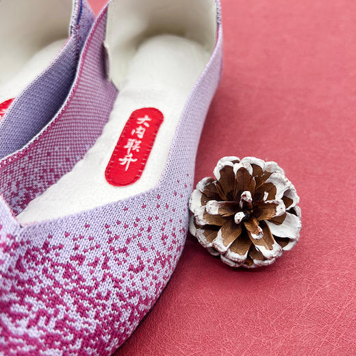 内联升女士皮便鞋坤皮大内联升飞织女鞋DN7249 商品图6