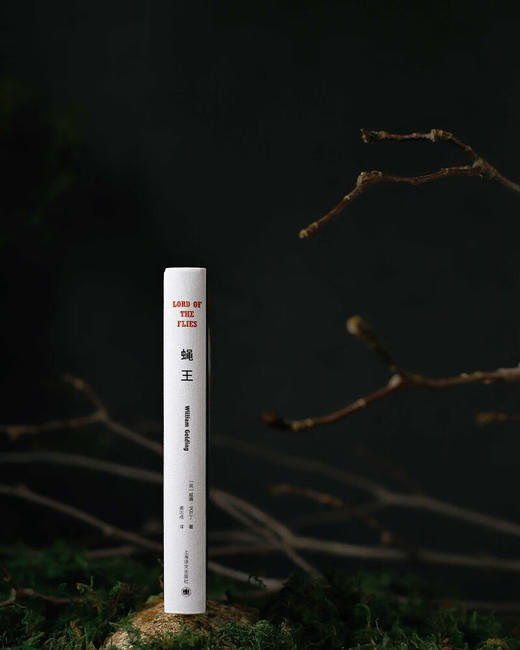 蝇王 布面精装 商品图6