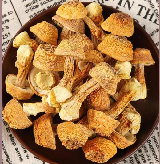 精品姬松茸250g 商品图0