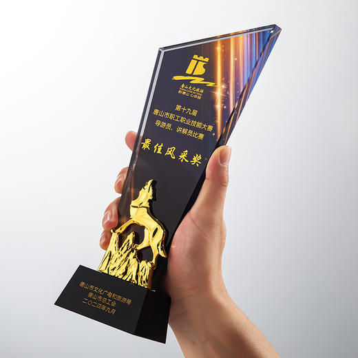 订制水晶奖杯彩色创意奖牌狼鹿飞翔优秀员工荣誉团队公司文化奖励 商品图2