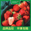 PAGODA百果园  A级-红宝玉草莓（超大）2 斤彩箱装 商品缩略图3