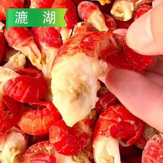 25I洪湖诱惑单冻龙虾尾 500g/袋 4.5kg/件(去冰净重2.25kg) 商品图3