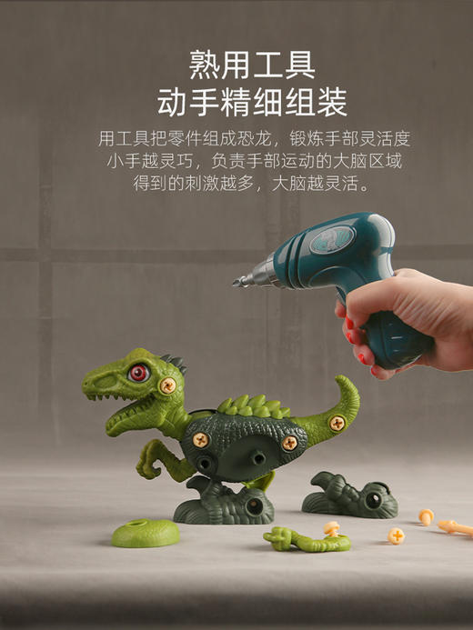 【凯卡西】拆装恐龙礼盒 商品图5