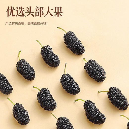 【正宗同仁堂品牌】北京同仁堂 有机桑椹150克（10g*15包） 严选有机 头部大果 洁净桑椹 酸甜美味 独立小包 甜度适中 高洁净度  SY 商品图6