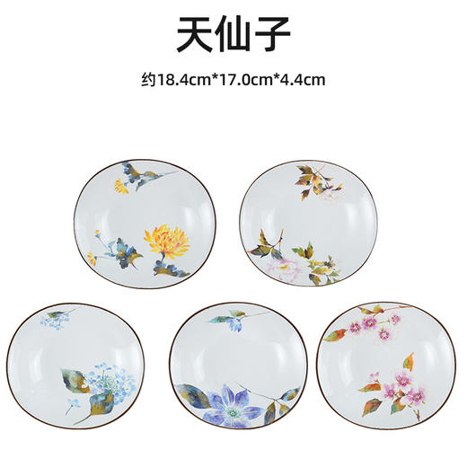 【家居】美浓烧 红颜花语-天仙子五盘套 /HY5P-19 商品图0