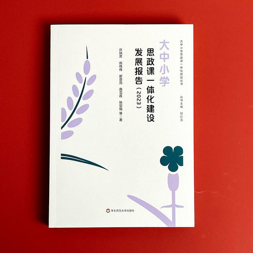 大中小学思政课一体化建设发展报告 2023 商品图1