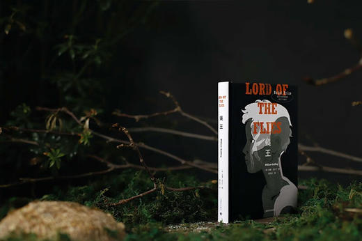 蝇王 布面精装 商品图5