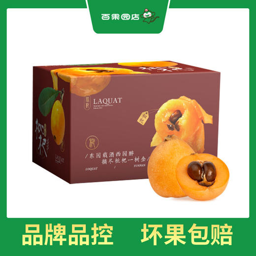 PAGODA百果园  云南蒙自枇杷（大）4斤彩箱装 商品图4