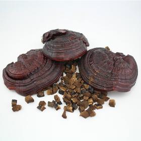 上林县杰乐菌灵芝200g/盒