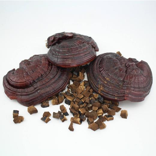 上林县杰乐菌灵芝200g/盒 商品图0