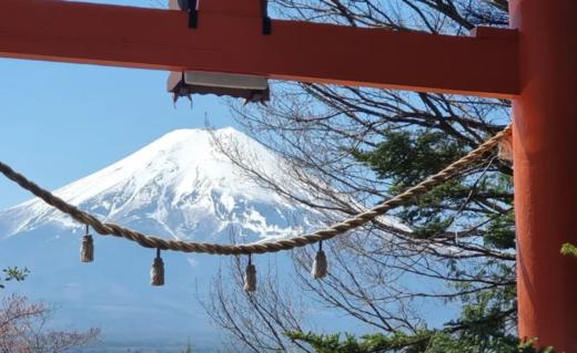 富士山 + 御殿场奥特莱斯 2 小时以上的自由活动时间【需二次确认】B-0186 商品图4