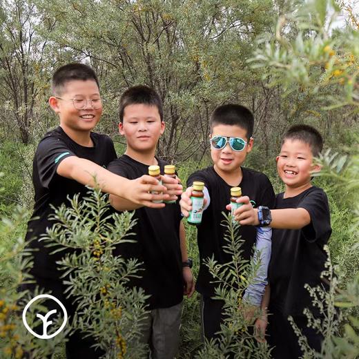 【泰安读者包邮】SGS权威检测机构4次复检308项农残0检出 内蒙原始主义 有机沙棘全果原浆 保留沙棘本真 每日一支补充所需维生素C 商品图2