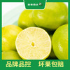 PAGODA百果园  塔希提无籽香水柠檬2斤装 商品缩略图2