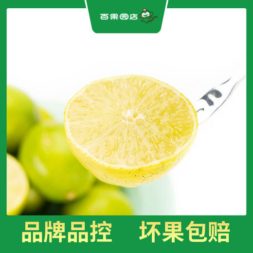 PAGODA百果园  塔希提无籽香水柠檬2斤装 商品图5