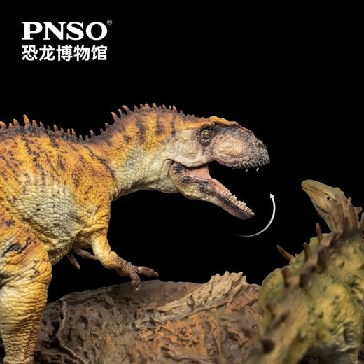 PNSO永川龙大勇与重庆龙小北恐龙博物馆1比35科学艺术模型 商品图6