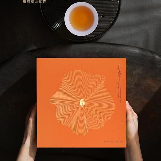 竹叶青万紫千红高山红茶（论道）经典礼盒160g 商品图1