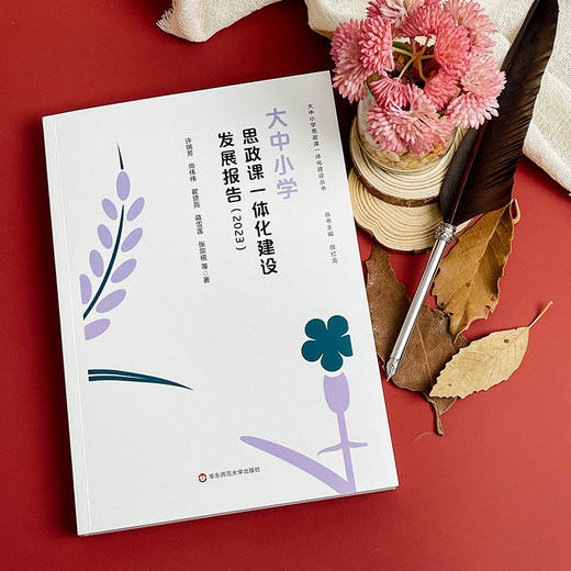 大中小学思政课一体化建设发展报告 2023 商品图3