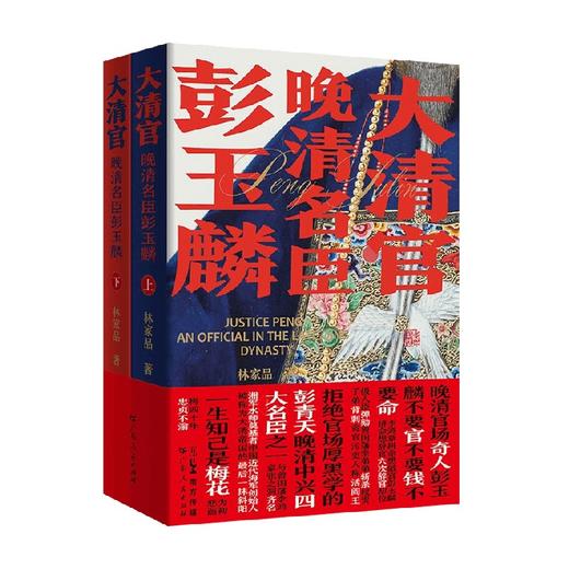 大清官  晚清名臣彭玉麟  全2册 林家品 著 小说 商品图0