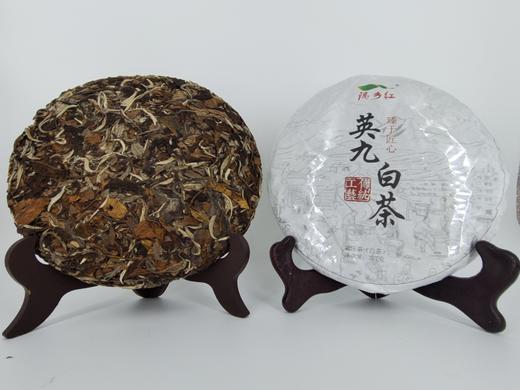 【隅乡红】英九白茶饼357g 商品图1