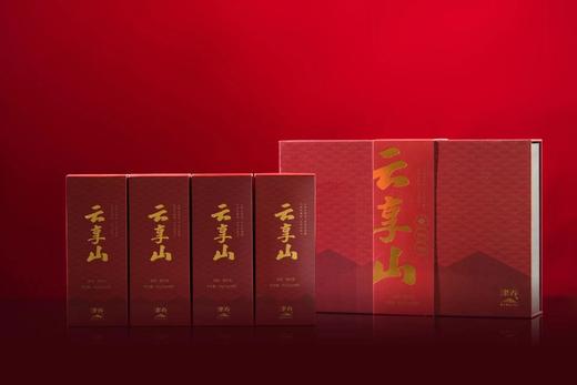 津乔“云享山“古树滇红袋装茶160克 商品图0