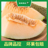 PAGODA百果园 沙漠蜜瓜2粒礼盒装（净重3.5-3.75kg，单果重≥1.75kg） 商品缩略图0