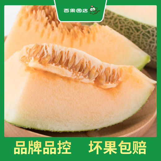 PAGODA百果园 沙漠蜜瓜2粒礼盒装（净重3.5-3.75kg，单果重≥1.75kg） 商品图0
