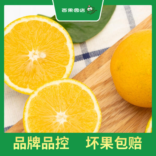 PAGODA百果园  A级-麻阳冰糖橙（中）20粒礼盒装 商品图4