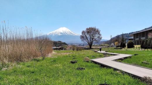 富士山 + 御殿场奥特莱斯 2 小时以上的自由活动时间【需二次确认】B-0186 商品图3