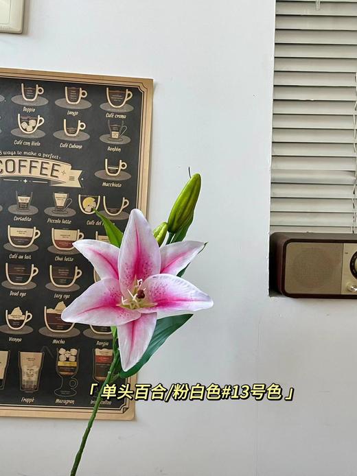 【仿真花】单头布百合 商品图9