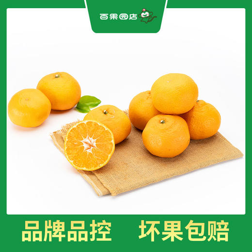 PAGODA百果园  春见耙耙柑（中）5斤彩箱装 商品图2