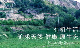 有机生活，从心出发