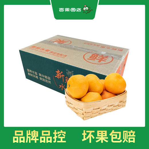 PAGODA百果园  春见耙耙柑（小）3斤家庭装 商品图0